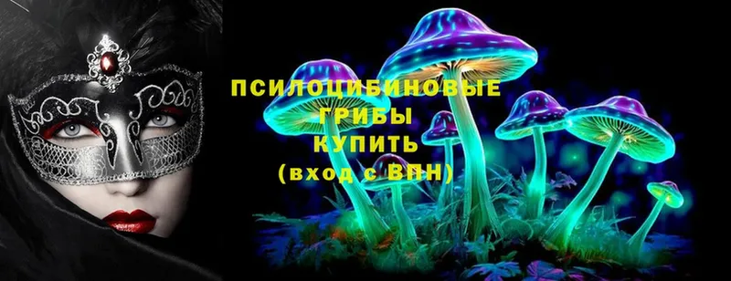 Псилоцибиновые грибы Magic Shrooms Болхов